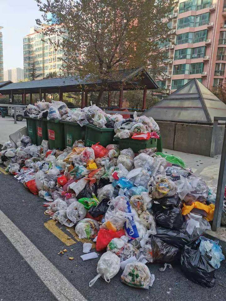 齐鲁晚报网-山东新闻门户 传播品质资讯